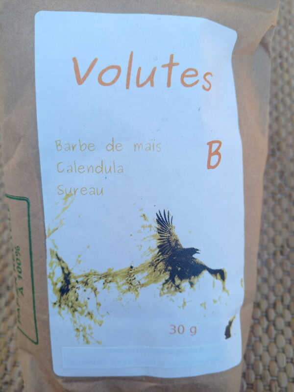 Volute B