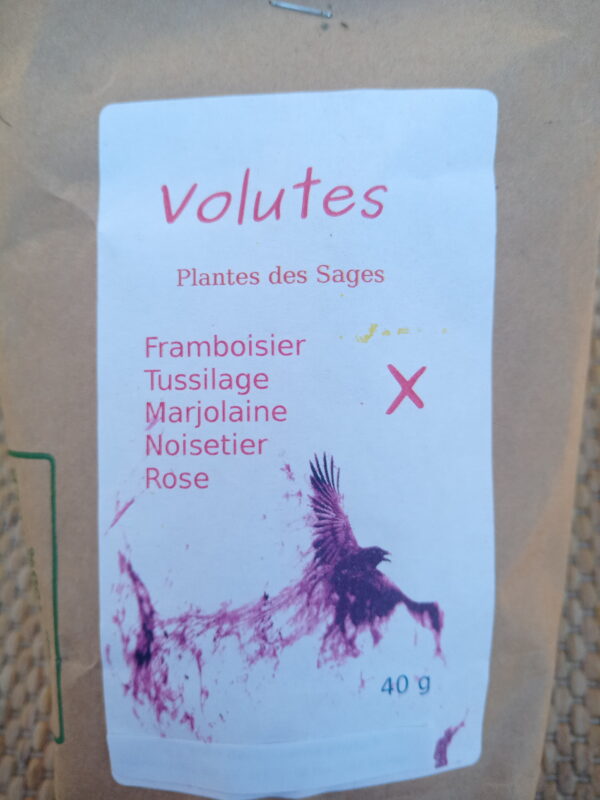 Volutes X